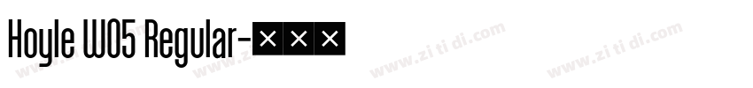 Hoyle W05 Regular字体转换